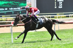 Bu yılki ilk şartlı 1 koşumuzu ALPHECCA ile kazandık.