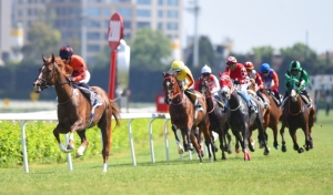 Dubai'de grup 2 Balanchine Stakes koşusunda &uuml;&ccedil;&uuml;nc&uuml;l&uuml;k yapmış 2018 yılının şampiyon 3 yaşlı dişi tayı se&ccedil;ilmiş PERİ LİNA 2019 yarış sezonunu T&uuml;rkiye koşuları i&ccedil;in başladı.