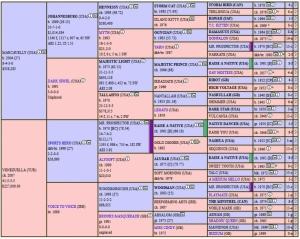 92. Gazi koşusu galibi şampiyon HEP BERABER'in kız kardeşi bu kez Veliefendi'de kazandı.