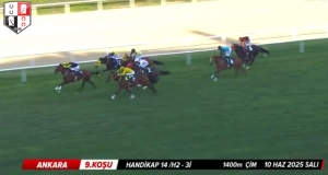 BODYGUARD HERO tayları kazanmaya devam ediyor.