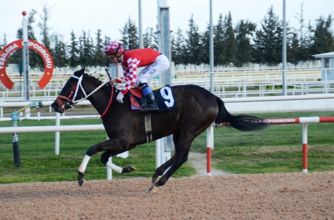 SULTAN REEDS babası KING DAVID&#039;in koşu kazanan ilk temsilcisi oldu.