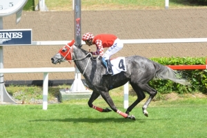 PERİ LİNA 2019 yılının ilk birinciliğini Z&uuml;beyde Hanım anısına koşulan koşuda elde etti.