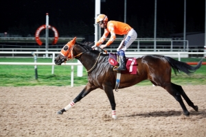 &Ccedil;ukurova &Uuml;niversitesi koşusunu HEADMAN kazanmayı başardı.