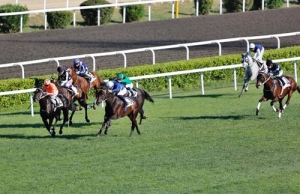 Şampiyon T&uuml;rkiye'deki yarış sezonuna kazanarak başladı.