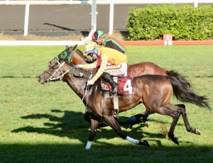 Kendini bulan DECENT MAN beklediğimiz yarışını yaptı.