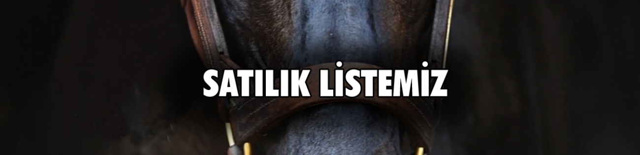 SATILIK KISRAKLARIMIZ - (10/2024)