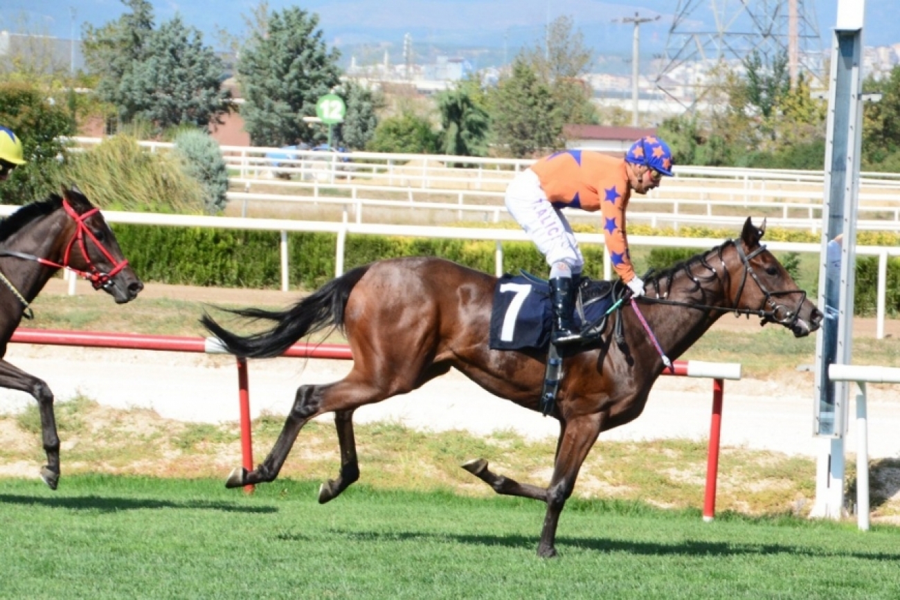 ASUDE SULTAN ilk çim yarışında maiden&#039;e veda etti.