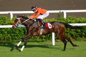 Erkek Tay Deneme koşusu &ouml;ncesi VERNAZZA umut verdi.