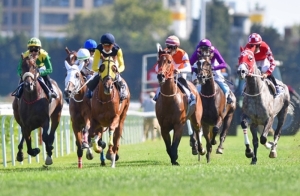 HAREM koşusunu &uuml;st &uuml;st&uuml;ne &uuml;&ccedil;&uuml;nc&uuml; kez hat-trick yapan şampiyon kısrağımız PERİ LİNA kazandı.